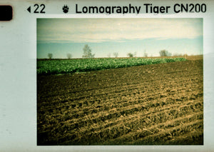 Lomography Tiger 110