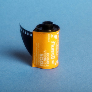 Kodak Vision 3 50D x Filmvago